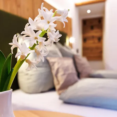 Haus Huis'n بيت ضيافة غرينو
